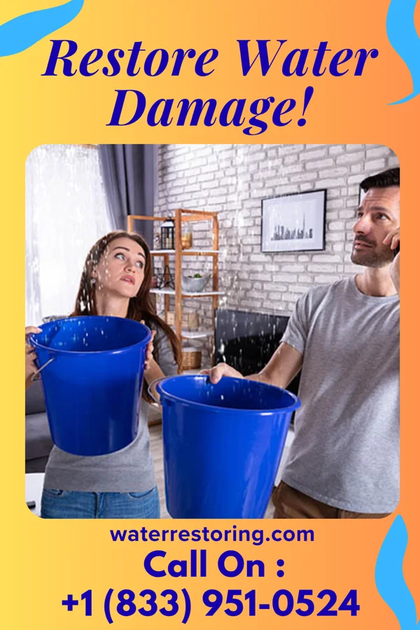 water restoration Local Storm Damage Contractors Zion