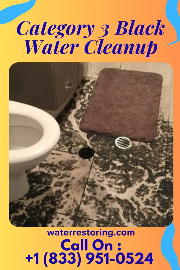 Category 3 Black Water Cleanup in Zion, IL
